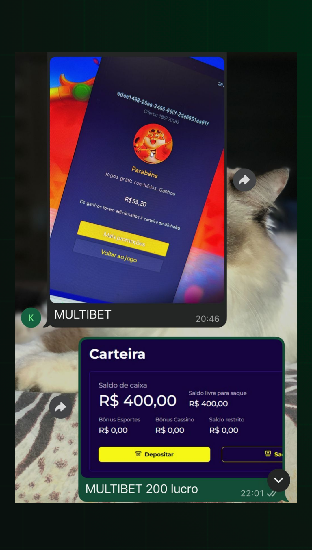 Resultado 10
